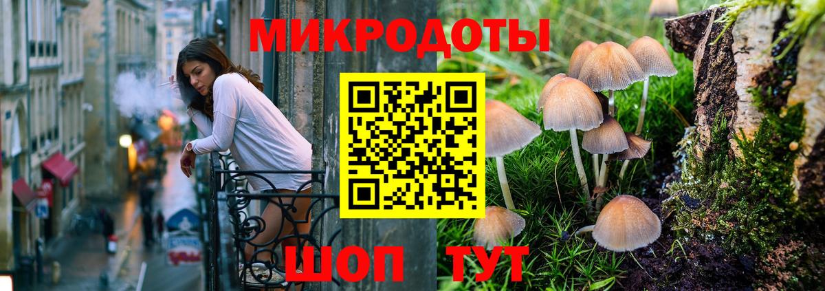 Галлюциногенные грибы мухоморы Славгород