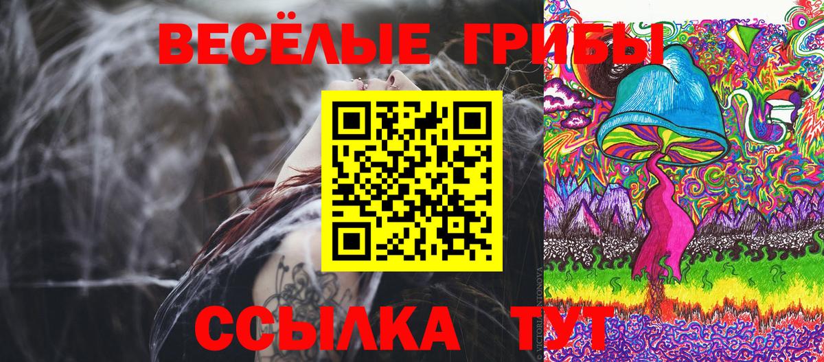 Галлюциногенные грибы ЛСД  закладки  Славгород  Вход с VPN 