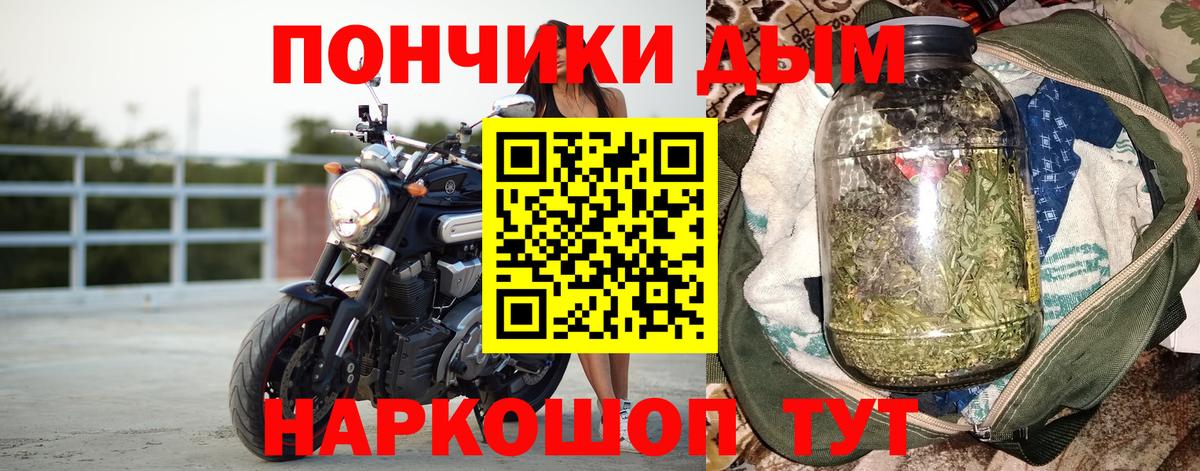 Конопля марихуана  Вход с VPN  Славгород  Бошки марихуана White Widow  Марихуана Ganja 